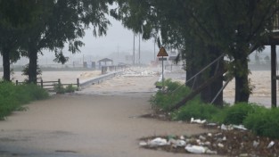 용감한 곡성읍 금예마을 이장, 침수지역 주민 23명 구출