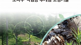 국립산림과학원, 「천연갱신을 통한 소나무·낙엽송 후계림 조성기술」 자료집 발간