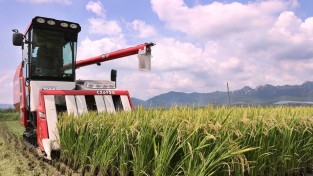 강진군 도암면, 8월 18일 쌀의 날 올해 첫 벼 수확