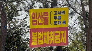 신안군, 봄철 임산물 불법채취 및 불법 산림훼손 집중단속