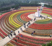 신안군 ‘2024 섬 튤립 축제’ 성공 개최
